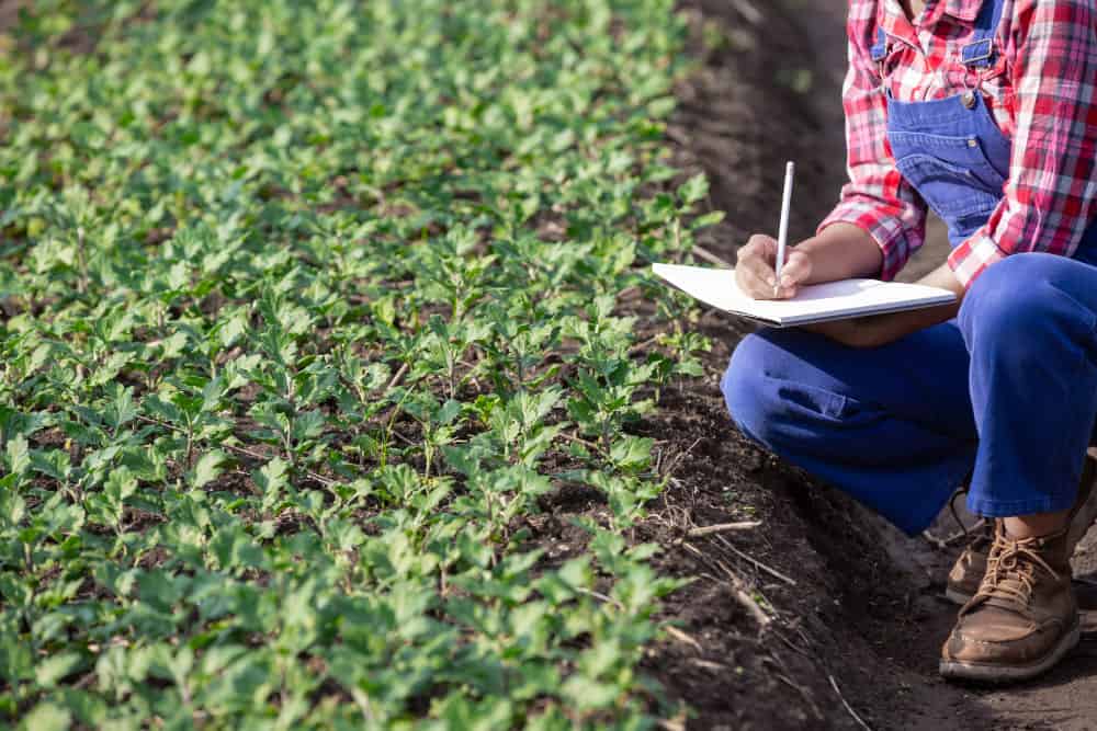 Qual faculdade EAD fazer para trabalhar com agricultura de precisão, drones e máquinas agrícolas?