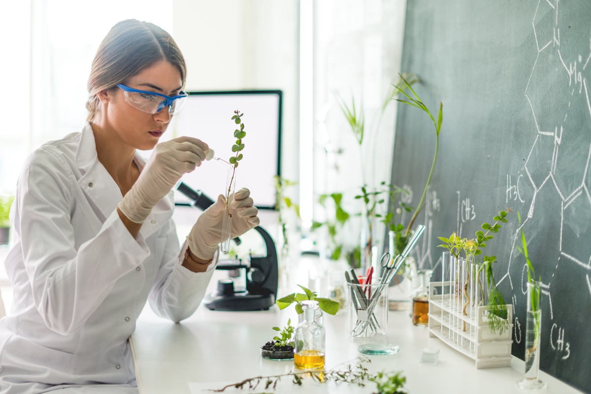 Saiba tudo sobre o curso de licenciatura em biologia EaD