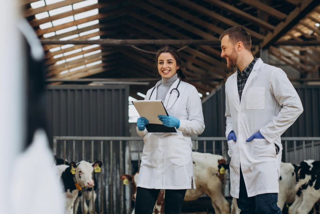 Alunos que não são de Medicina Veterinária EAD, mas presencial, acompanhando alguns animais.